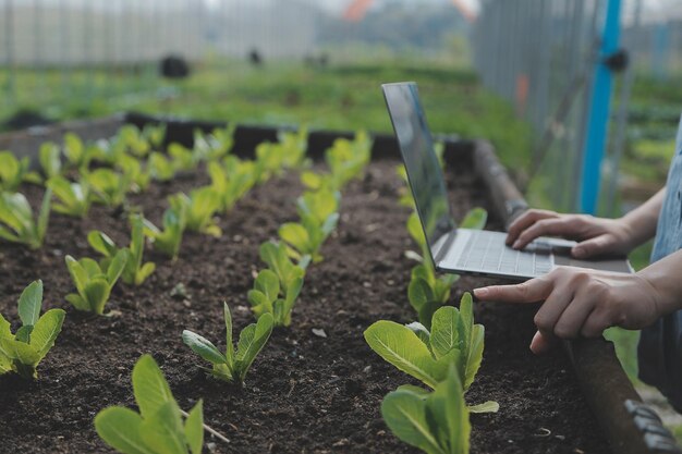 Agricultrice asiatique utilisant une tablette numérique dans un potager à effet de serre