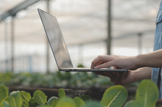 Agricultrice asiatique utilisant une tablette numérique dans un potager à effet de serre