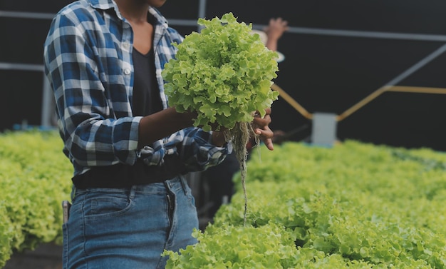 Agricultrice asiatique utilisant une tablette numérique dans un potager à effet de serre