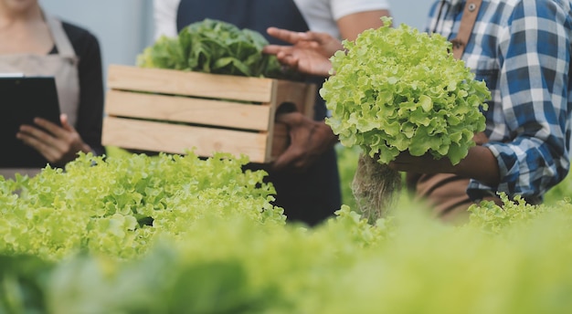 Agricultrice asiatique utilisant une tablette numérique dans un potager à effet de serre