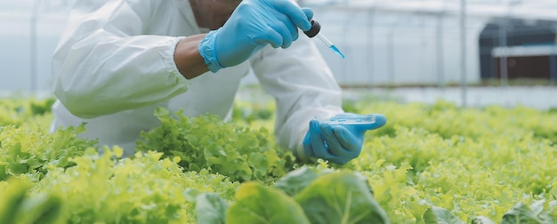 Agricultrice asiatique utilisant une tablette numérique dans un potager à effet de serre