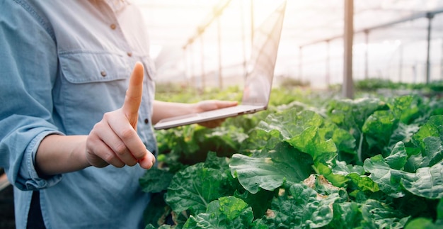 Agricultrice asiatique utilisant une tablette numérique dans un potager à effet de serre