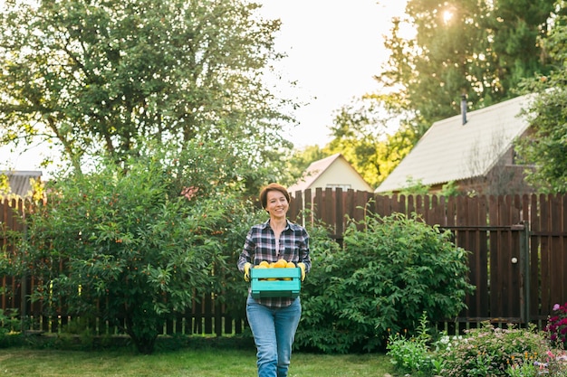 Une agricultrice biologique tenant une boîte pleine de produits frais sur son espace de copie de ferme et un endroit vide pour t