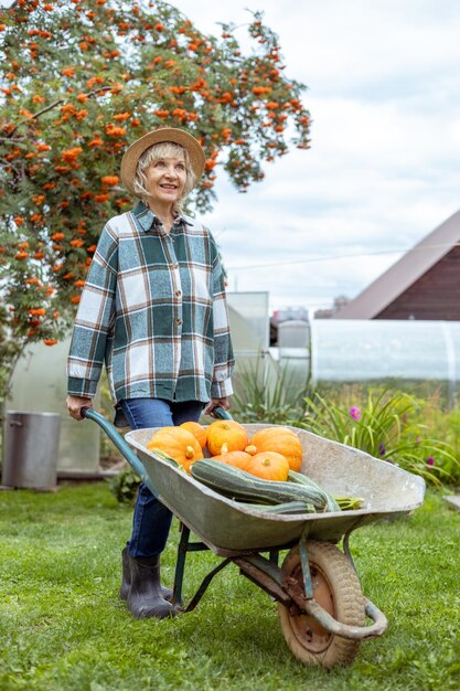 Agricultrice cueillant la récolte d'automne de citrouilles à la ferme