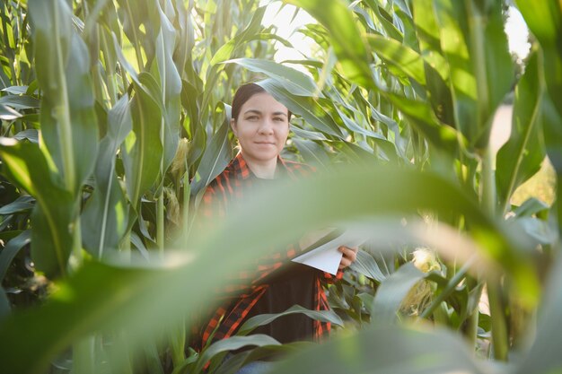 Agricultrice dans un champ d'épis de maïs