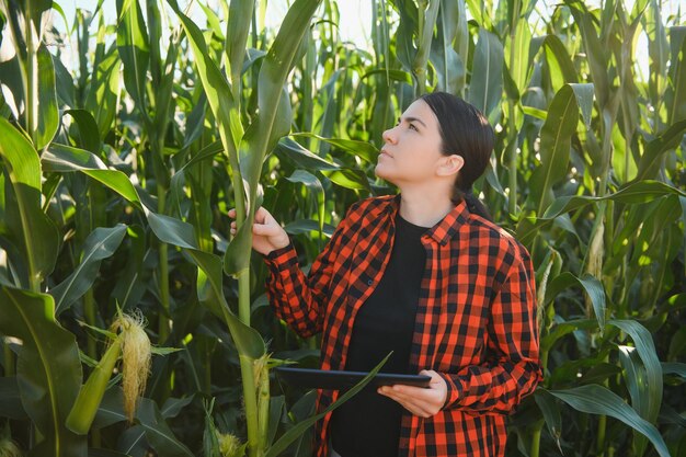 Agricultrice dans un champ d'épis de maïs