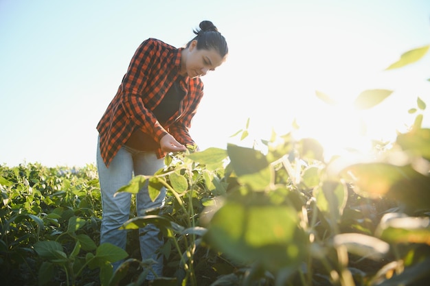 Une agricultrice dans un champ de soja