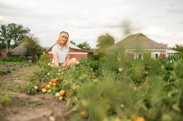 Une agricultrice est assise dans le jardin d'une maison de campagne près d'un lit de tomates et regarde la caméra Travailler dans le chalet du jardin en cultivant des tomates et des légumes