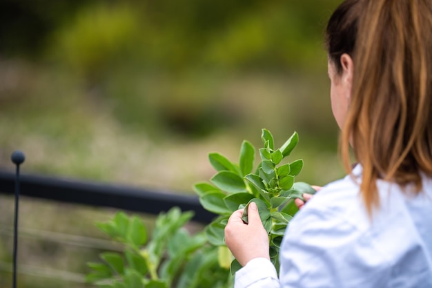 Agricultrice étudiant et cultivant des plantes