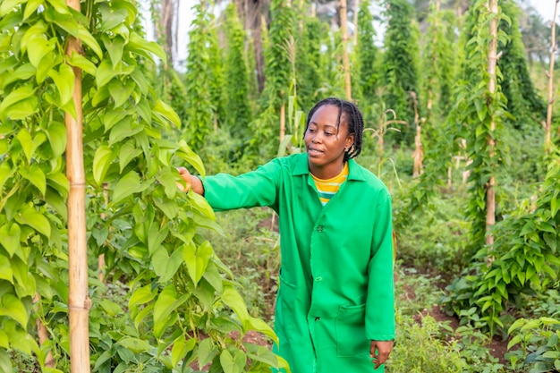 Agricultrice examinant les cultures debout regardant la caméra