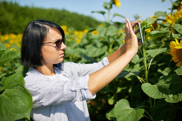 Agricultrice, femme d'affaires prendre une photo sur un champ de tablette Tournesol biologique