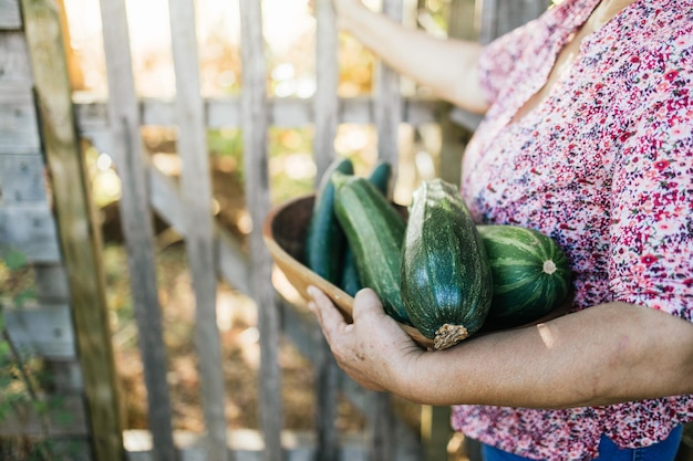 Agricultrice hispanique méconnaissable portant un plateau en bois avec des courgettes de son potager.