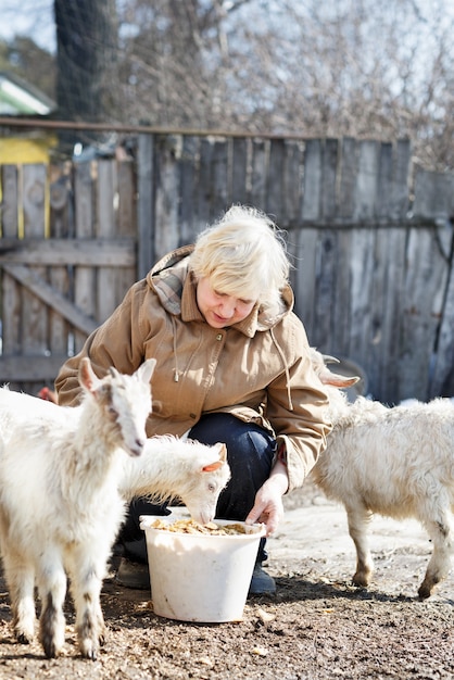 Une agricultrice nourrit les enfants du seau