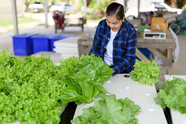 Agricultrice prenant soin de la culture hydroponique potager légumes biologiques