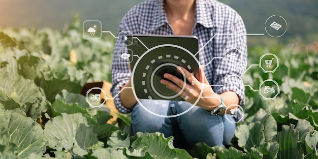 Photo agricultrice de technologie agricole tenant une tablette ou une technologie de tablette pour rechercher des données d'analyse de problèmes agricoles et une icône visuelle