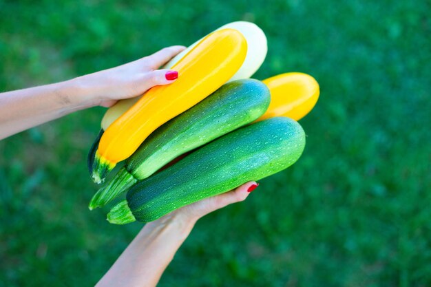 Une agricultrice tenant des courgettes colorées Belles mains féminines avec manucure tenir des courgettes