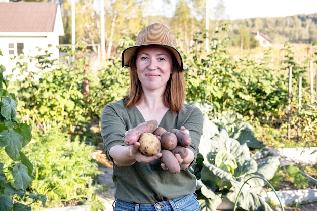 Une agricultrice tenant des pommes de terre au coucher du soleil dans le jardin