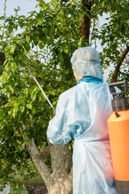 Une agricultrice en tenue de protection pulvérise des pommiers contre les maladies fongiques ou la vermine.