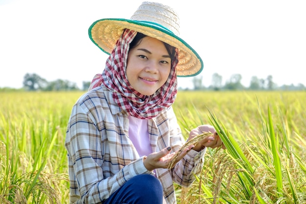 Une agricultrice thaïlandaise portant une chemise et un chapeau traditionnels est assise et regarde du riz au milieu du champ