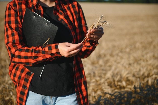 Une agricultrice travaillant dans un champ de blé au coucher du soleil Une femme d'affaires agronome se penche sur une tablette dans un champ de blé