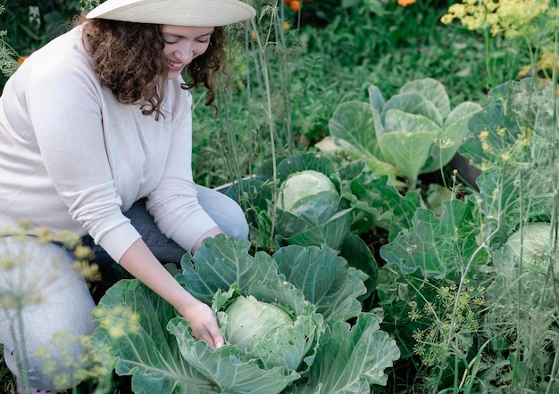 Une agricultrice travaillant dans une serre biologique. Femme cultivant des légumes