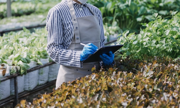 Une agricultrice travaillant tôt à la ferme tenant un panier en bois de légumes frais et une tablette