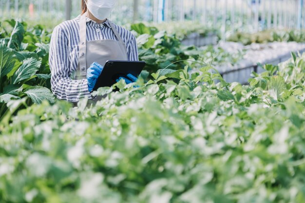 Une agricultrice travaillant tôt à la ferme tenant un panier en bois de légumes frais et une tablette