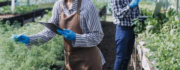 Une agricultrice travaillant tôt à la ferme tenant un panier en bois de légumes frais et une tablette