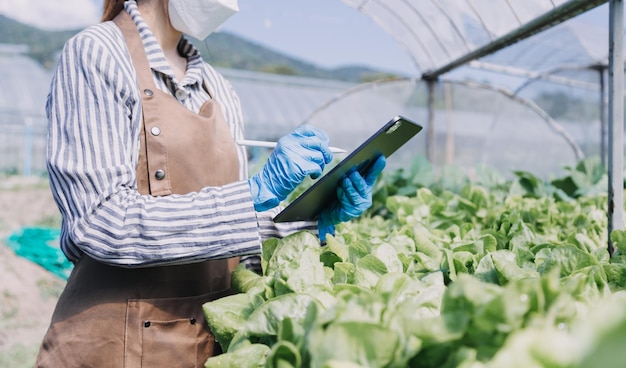 Une agricultrice travaillant tôt à la ferme tenant un panier en bois de légumes frais et une tablette