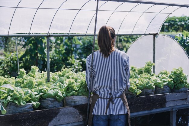 Une agricultrice travaillant tôt à la ferme tenant un panier en bois de légumes frais et une tablettex9xA