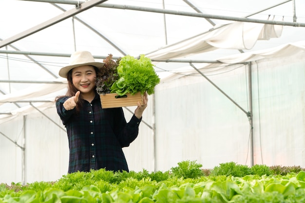 Des agricultrices asiatiques récoltent des salades fraîches dans des fermes à système hydroponique dans la serre pour les commercialiser. Concept de légumes frais et d'aliments sains. Commerce et industrie agricole.