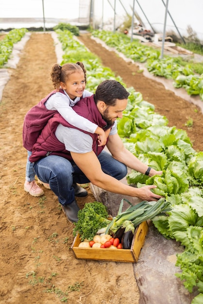 Agriculture agricole et père avec enfant dans une serre cueillant des légumes ensemble à la ferme Amour familial et jeune fille aidant papa à récolter une agriculture durable et à collecter de la laitue biologique