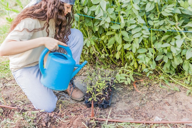 Agriculture agricole de récolte de tomates avec le printemps à la main avec le latin vénézuélien cubain et marocain