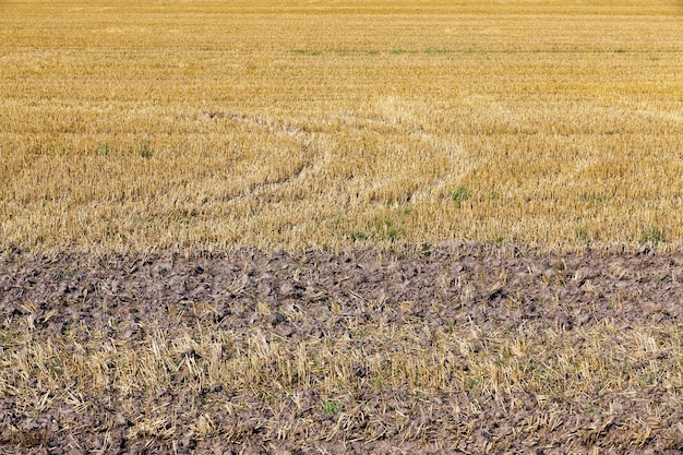 Agriculture et agriculture dans la région