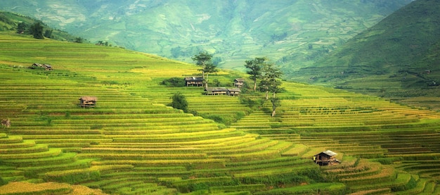 agriculture campagne terres agricoles