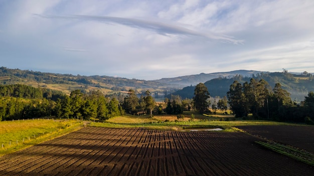 Agriculture en Colombie