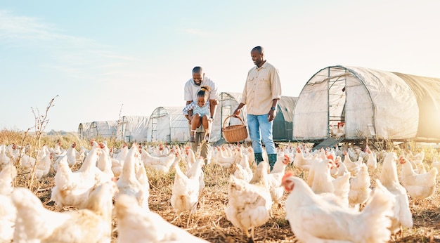 Agriculture couple gay et poulet avec famille noire à la ferme pour un environnement heureux et des liens Détendez-vous lgbtq et aimez avec les hommes et les enfants agriculteurs sur le terrain de la campagne pour le soin des œufs et des animaux