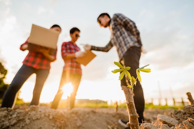 Agriculture, jardinier, ferme, récolte, champ, concept technologique. Une équipe d'agriculteurs menant des recherches sur les plantes et les sols en utilisant les plantations pour une agriculture de qualité.