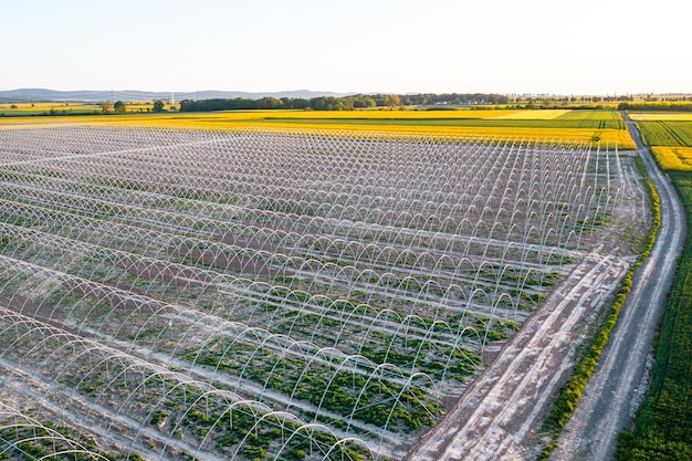 Agriculture moderne Vue aérienne des serres pour exprimer la verdure grande ferme agriculture paysage d'été