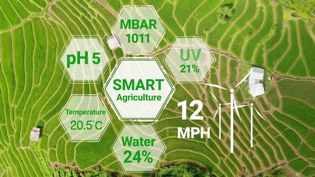 Agriculture numérique intelligente