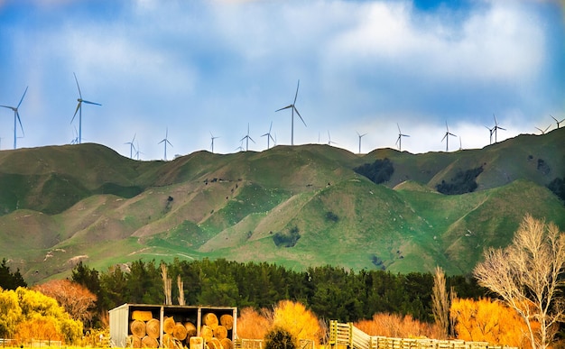 L'agriculture sous les éoliennes au sommet de la colline