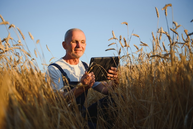 Agronome ou agriculteur à l'aide d'une tablette lors de l'inspection du champ de blé biologique