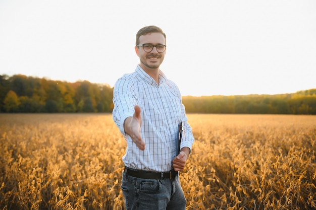 Agronome ou agriculteur examinant la récolte du champ de soja