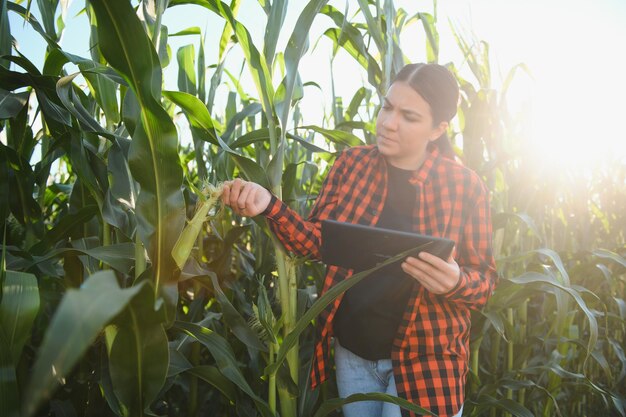 Agronome agricultrice intelligente utilisant une tablette numérique pour examiner et inspecter le contrôle de la qualité de la récolte de maïs Technologies modernes dans la gestion de l'agriculture et l'agro-industrie