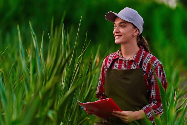 Agronome agricultrice travaillant dans un champ de maïs et planifiant le revenu de la récolte. Femme examinant et vérifiant le contrôle de la qualité de la récolte de maïs. Gestion de l'agriculture et agro-industrie