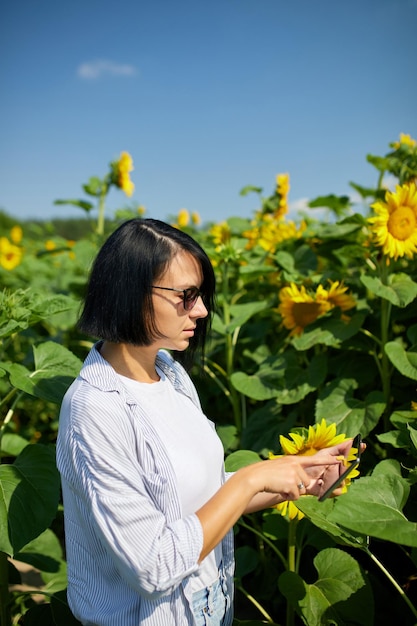 Agronome agricultrice vérifiant la récolte de qualité tenir la tablette sur le terrain Tournesols biologiques