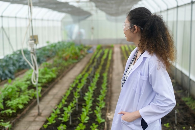 Agronome asiatique travaillant dans un concept de légumes et d'agriculture biologique à effet de serre