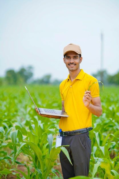 Agronome ou banquier indien utilisant un ordinateur portable dans le domaine de l'agriculture.