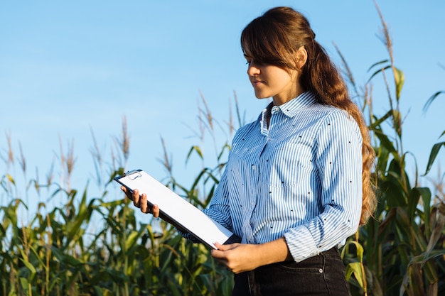 Agronome de belle fille avec carnet de notes et analyse la récolte de maïs