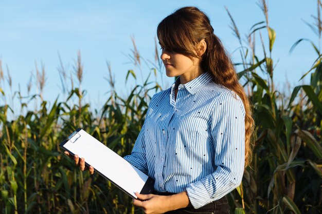 Agronome de belle fille avec carnet de notes et analyse la récolte de maïs